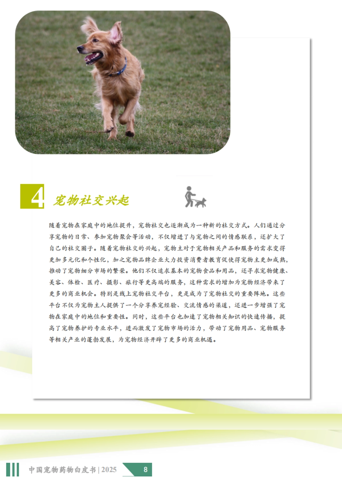 2025年中国宠物药物白皮书-沙利文_第8页