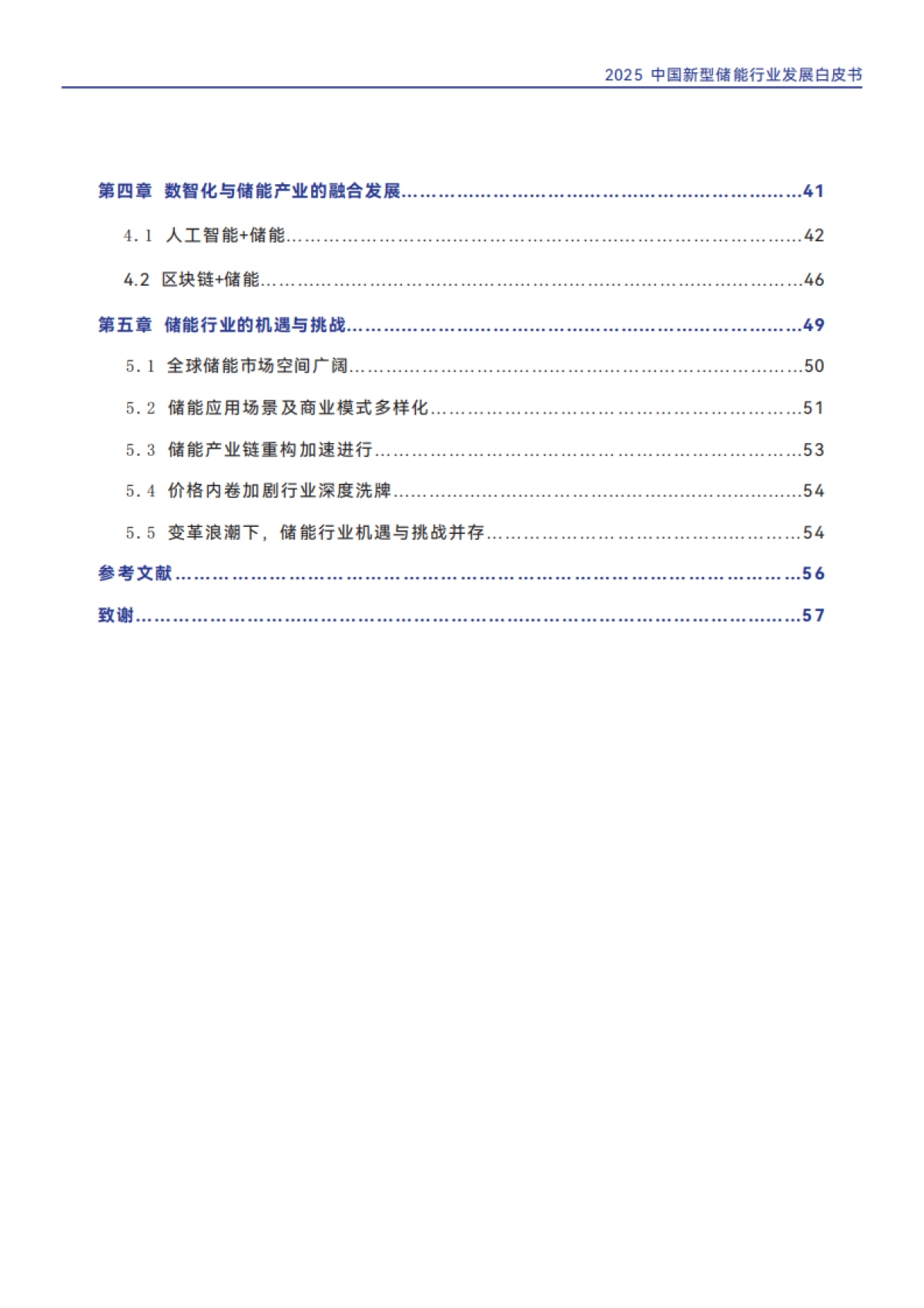 2025年中国新型储能行业发展白皮书-机遇与挑战-储能领跑者联盟_第4页