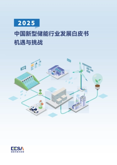 2025年中国新型储能行业发展白皮书-机遇与挑战-储能领跑者联盟