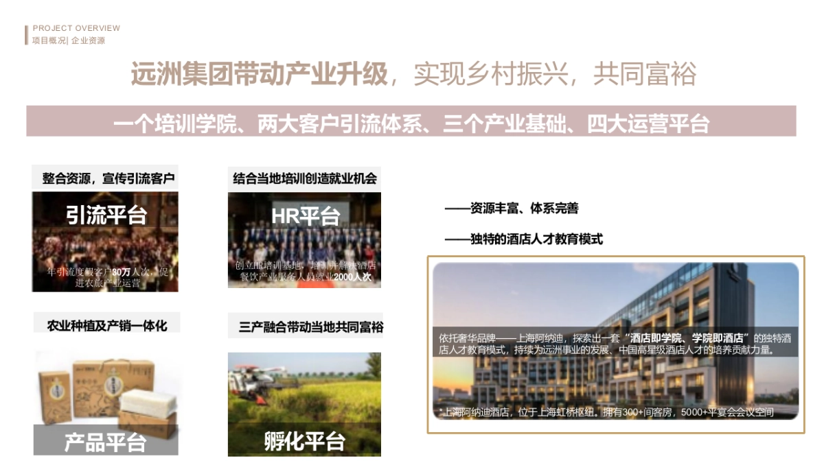 智慧文旅田园康养疗愈小镇规划设计方案(84页 PPT)_第6页