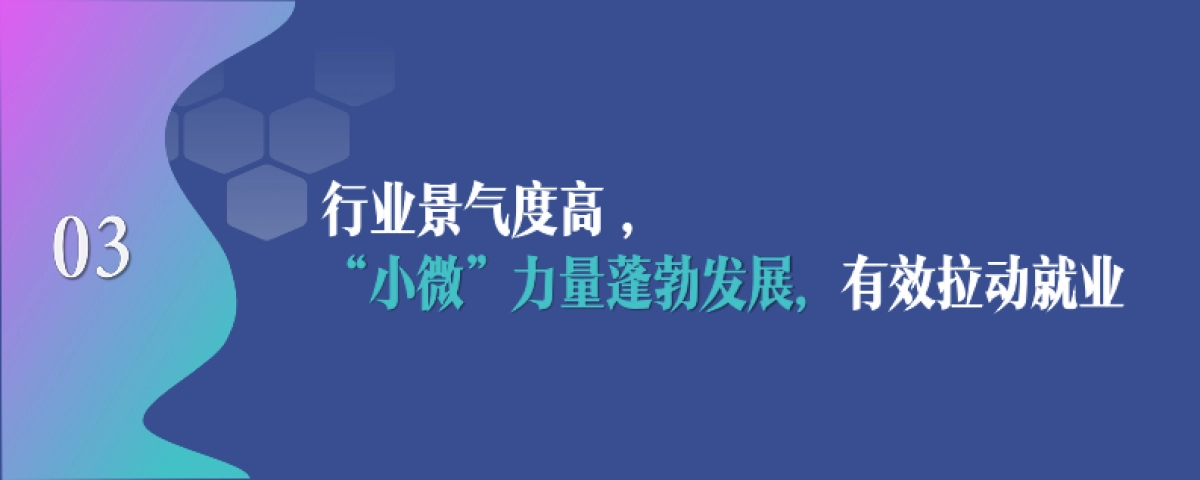 中国网络视听发展研究报告（2025）-中国网络视听协会_第10页