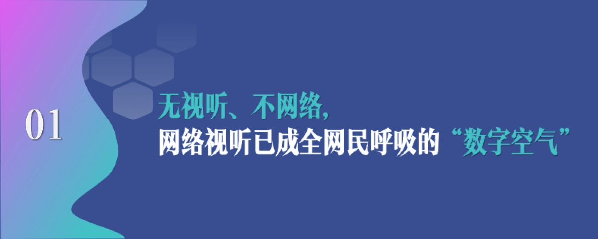 中国网络视听发展研究报告（2025）-中国网络视听协会_第4页