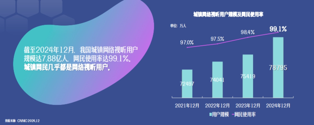中国网络视听发展研究报告（2025）-中国网络视听协会_第6页