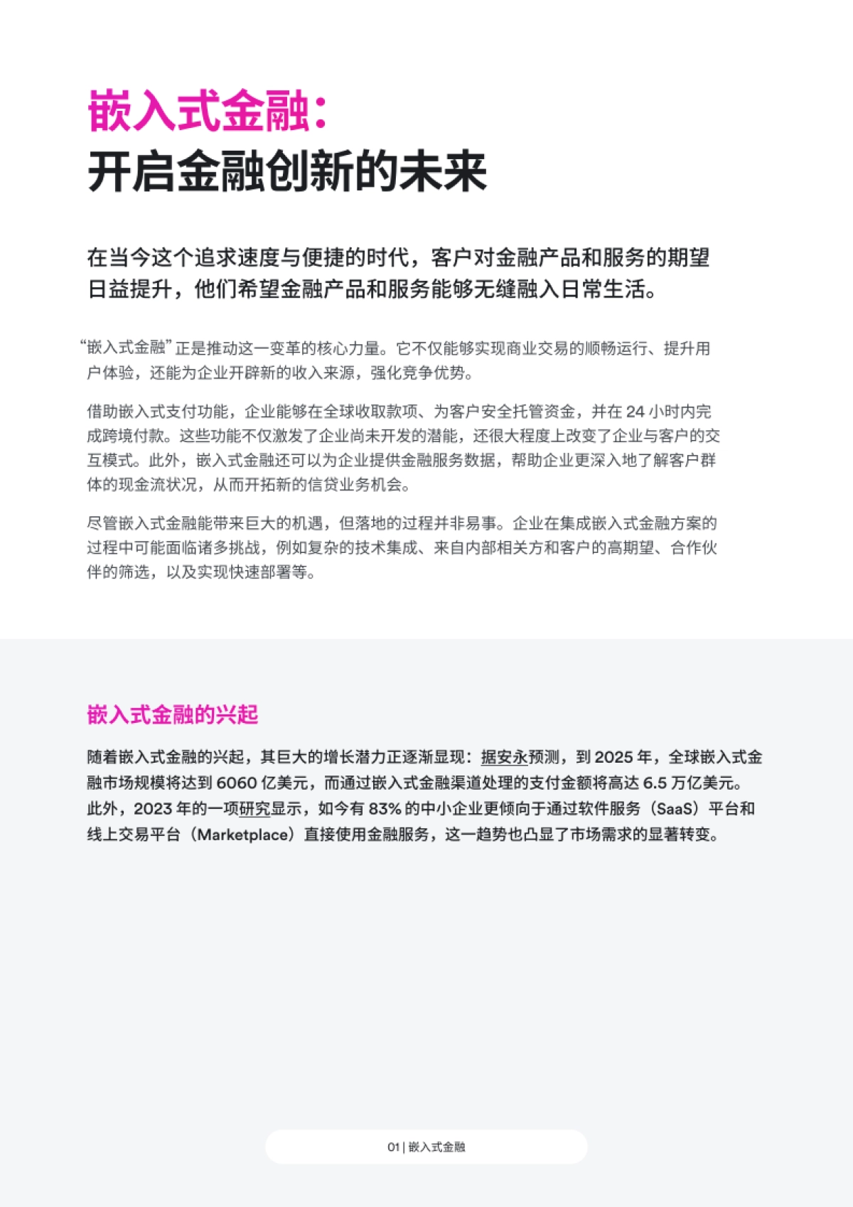 Airwallex 空中云汇2025嵌入式金融白皮书_第2页