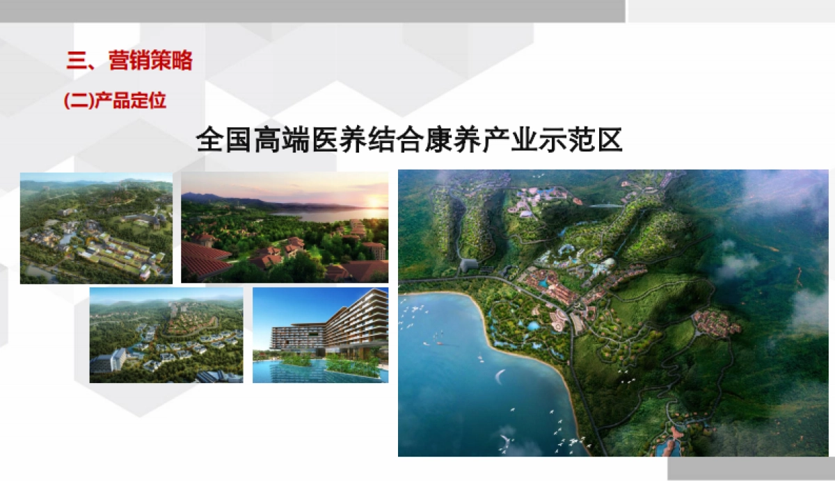 康养项目建设开发运营思路(27页)_第9页