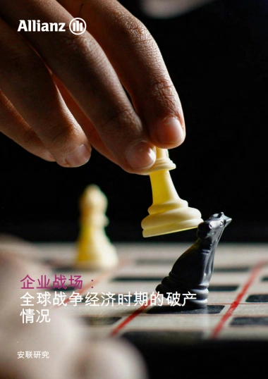 全球企业破产报告-2024年状况与未来2年预测（英译版）-安联（Allianz）