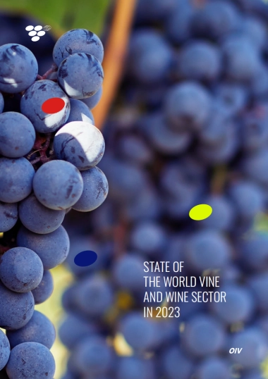 世界葡萄酒行业报告