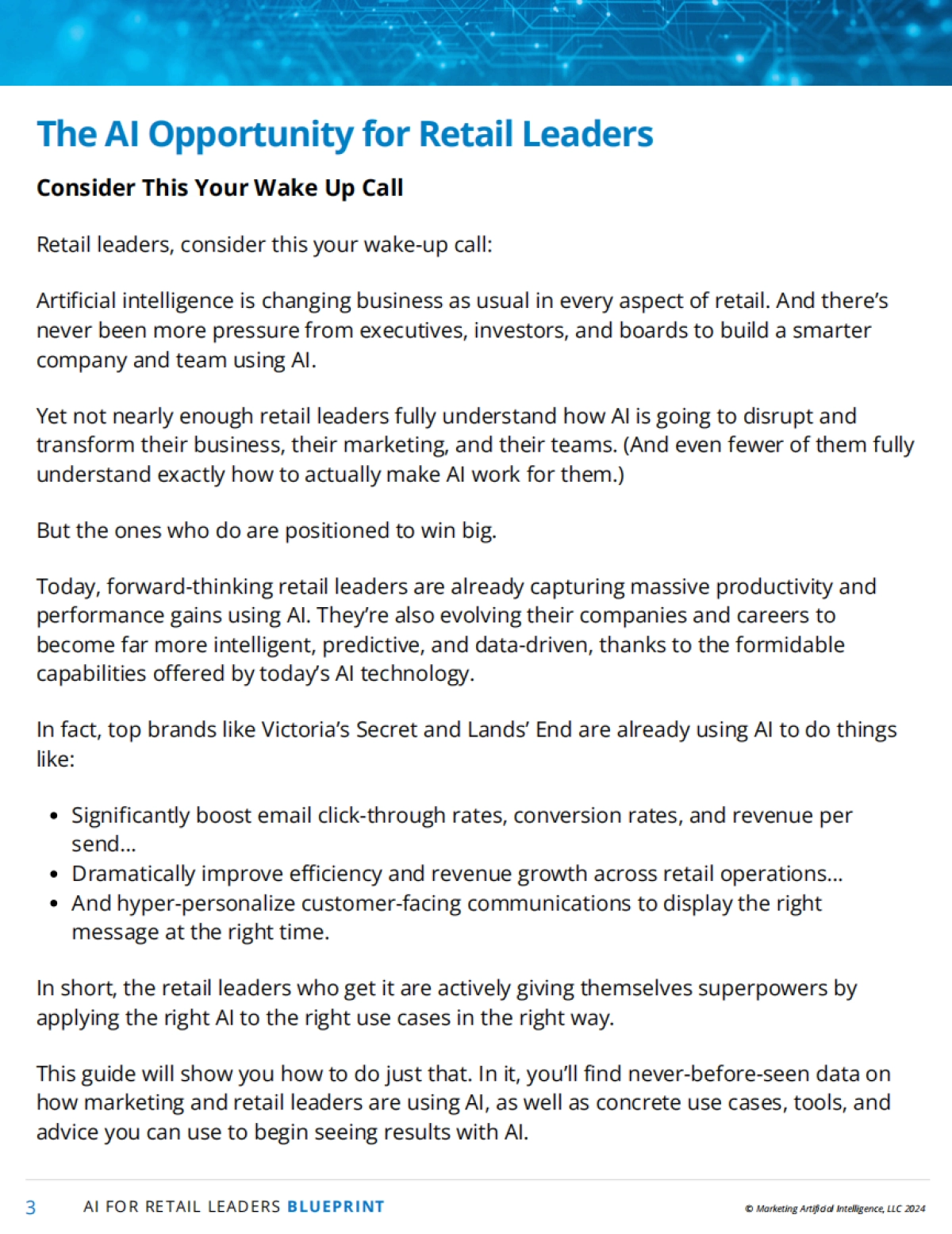 营销人工智能研究所：面向零售领导者的AI_第3页