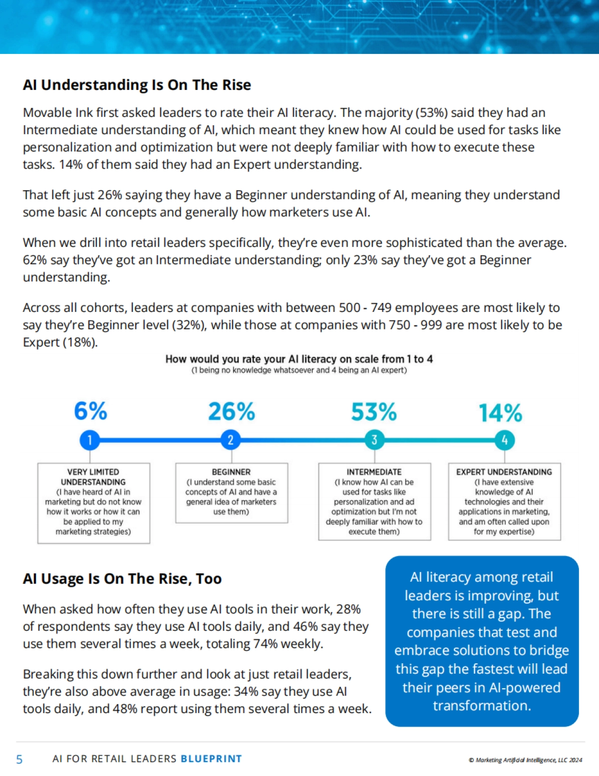 营销人工智能研究所：面向零售领导者的AI_第5页