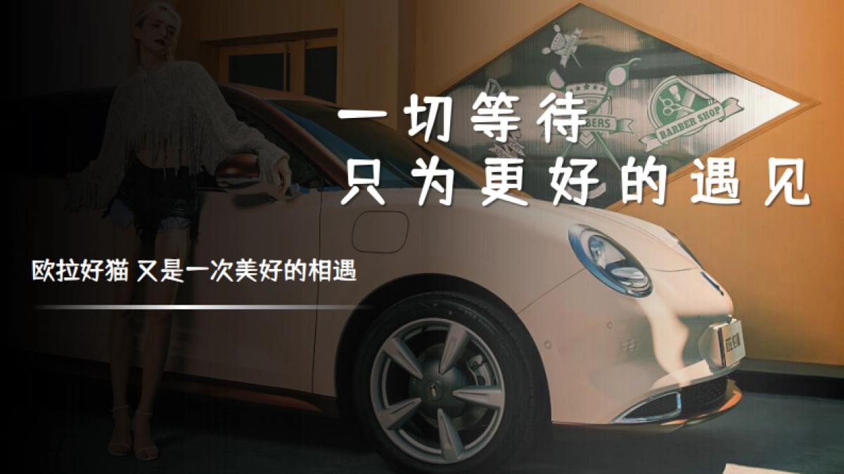 欧拉好猫上市发布会_第2页