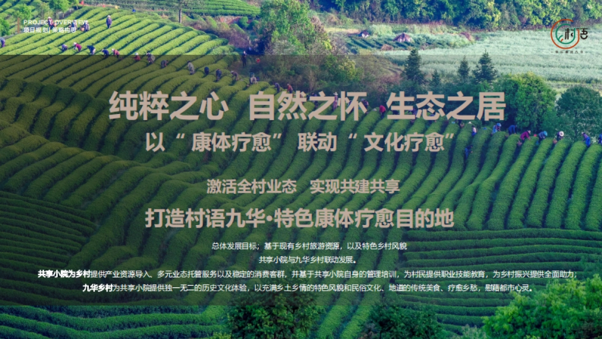 2025南方乡村振兴田园生态示范区康养项目战略定位及全方位规划运营概念案【健康养老】【乡村旅游】【文旅】 _第10页