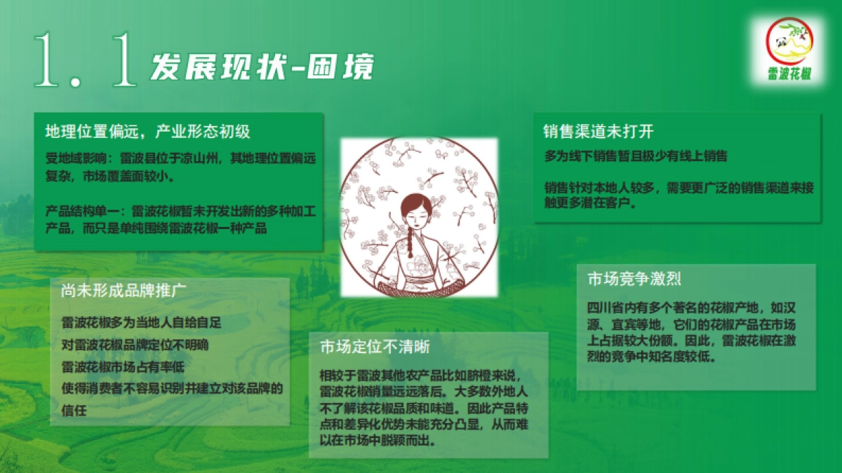 农业品牌雷波花椒品牌策划_第5页