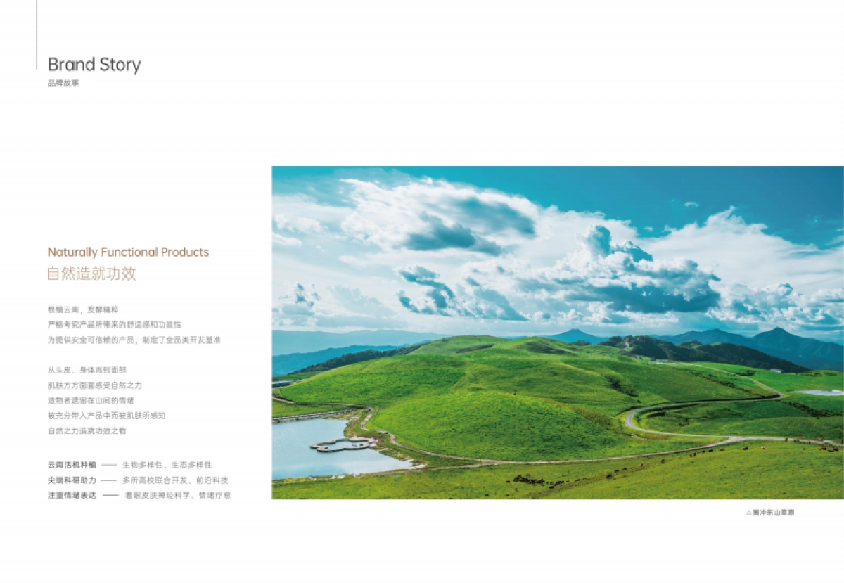 玫卿序+品牌手册_第4页