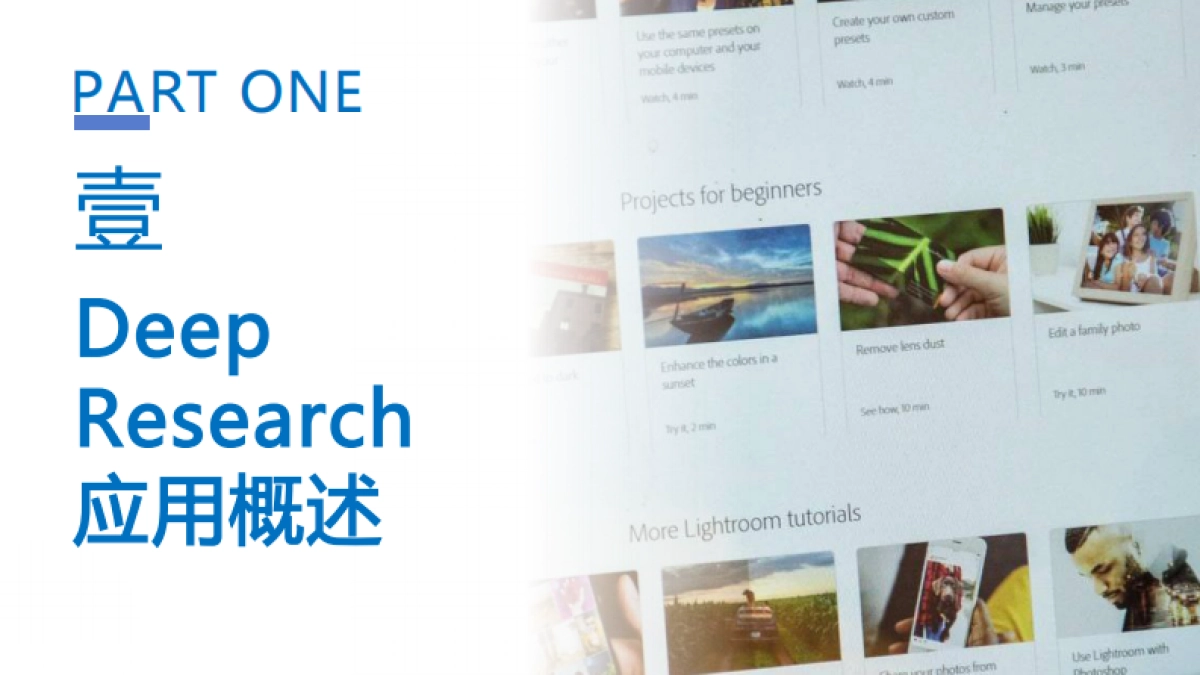 DeepSeekDeepResearch应用报告_第9页