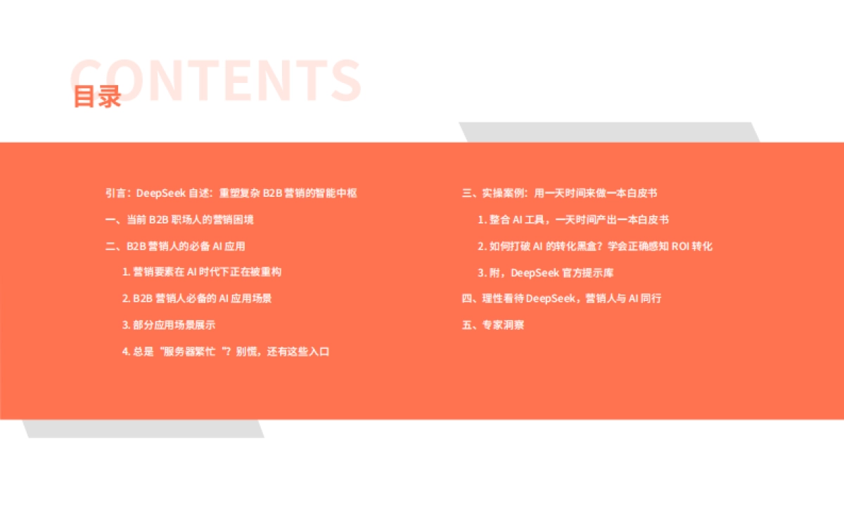 2025年B2B营销人的专属DeepSeek操作手册_第3页