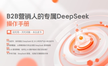 2025年B2B营销人的专属DeepSeek操作手册
