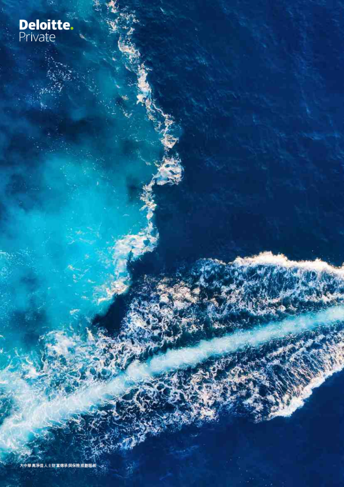 2025大中华高净值人士财富传承与保险规划报告_第6页