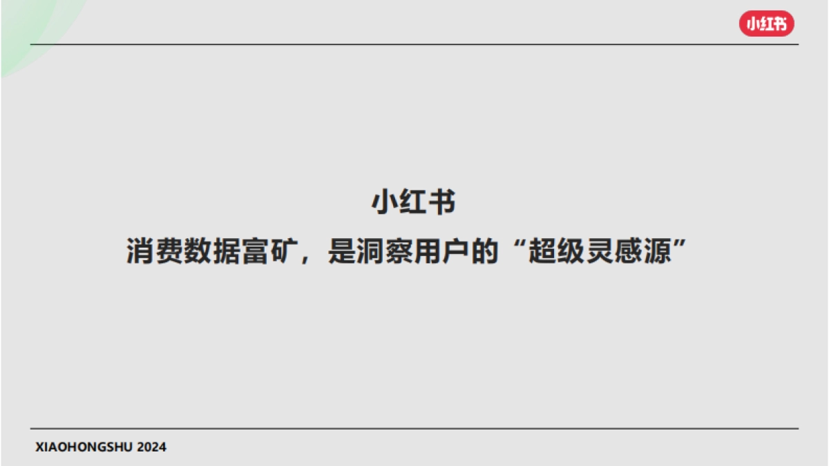 小红书灵犀全域种草_第4页