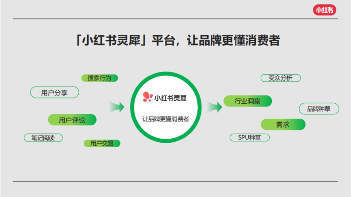 小红书灵犀全域种草_第8页