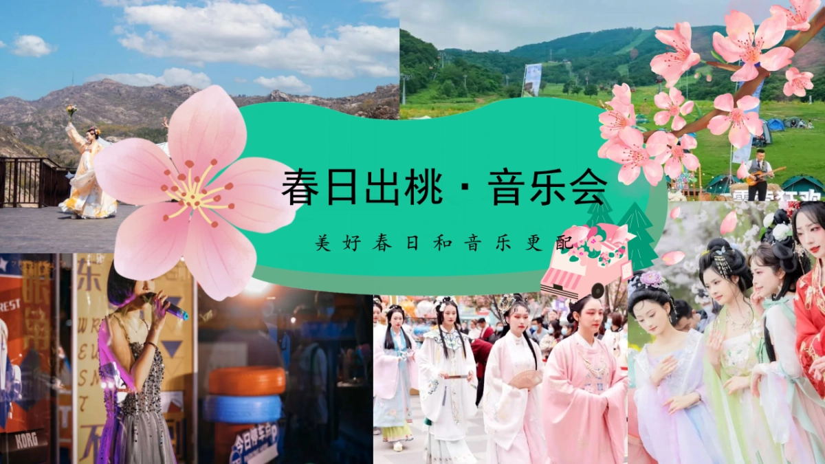 文旅景区沉浸式桃花古风游园会「春风十里 桃花游趣主题」活动策划方案_第10页