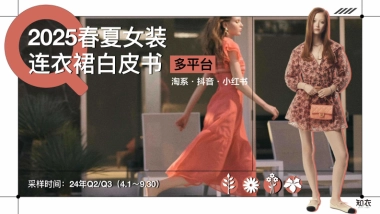 2025春夏女装连衣裙白皮书