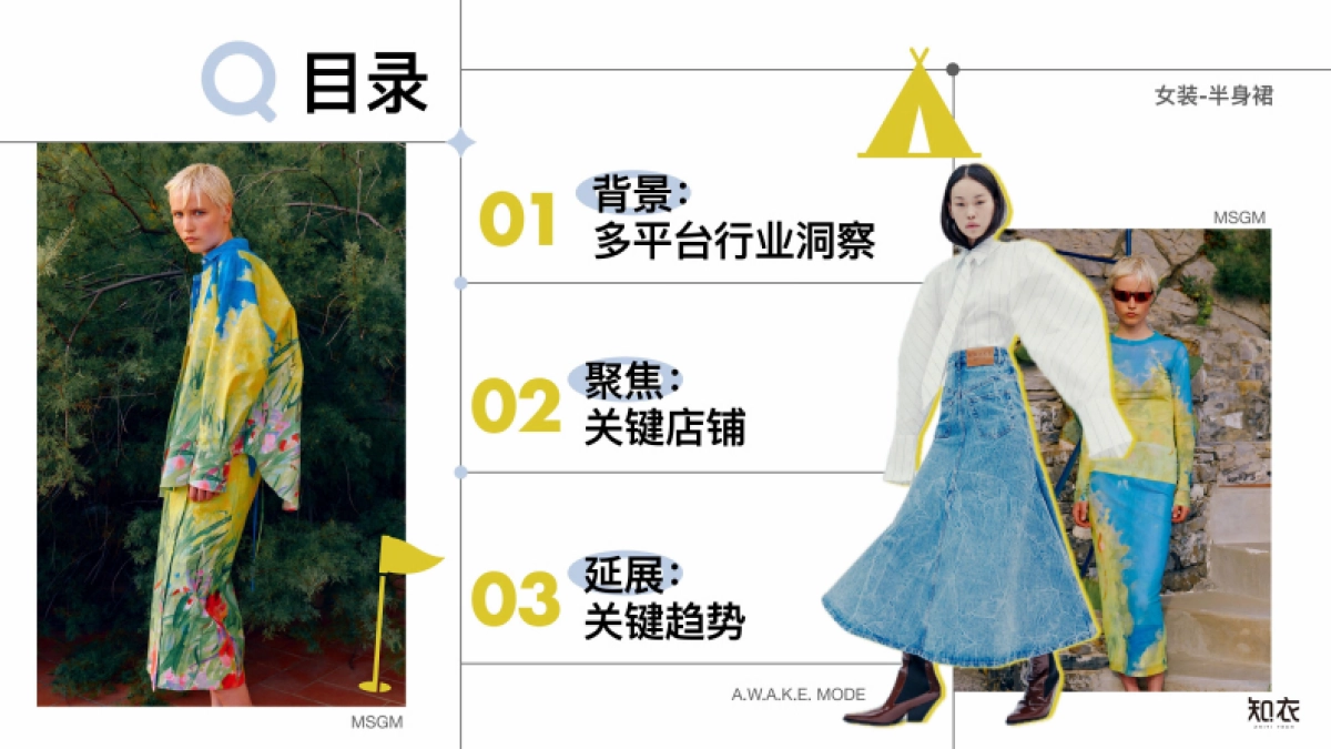 2025年春夏女装半裙白皮书(多平台)-知衣科技_第2页