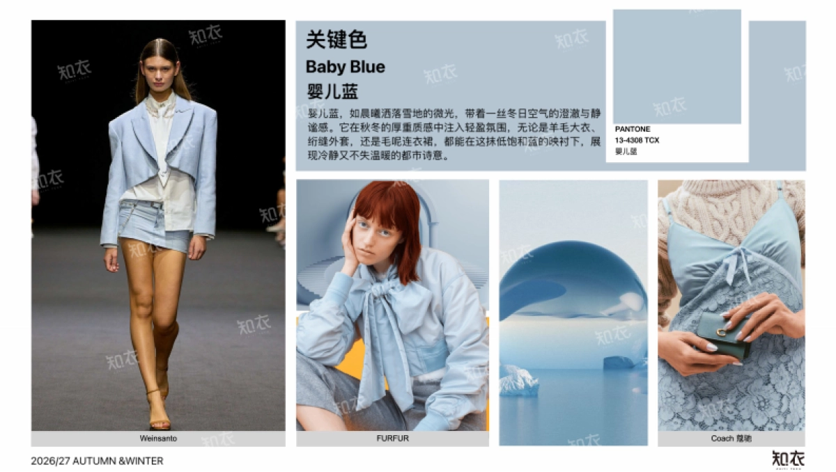 2026_27秋冬女装色彩运用—柔雾蜜语-知衣_第5页
