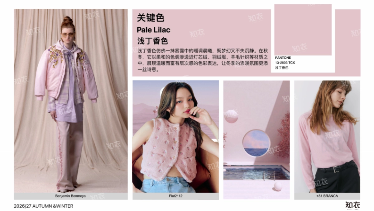 2026_27秋冬女装色彩运用—柔雾蜜语-知衣_第9页