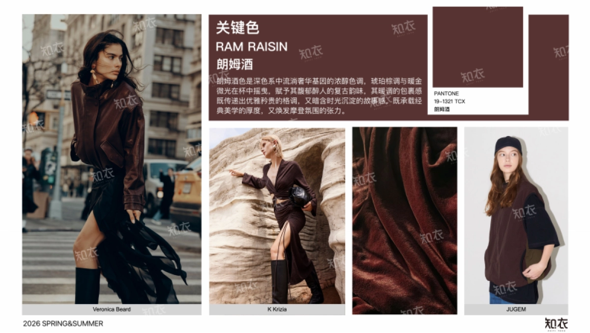 2026春夏女装色彩运用—神秘绮想-知衣_第3页