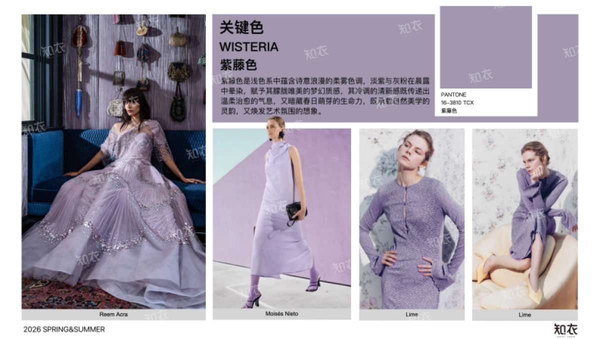 2026春夏女装色彩运用—神秘绮想-知衣_第7页