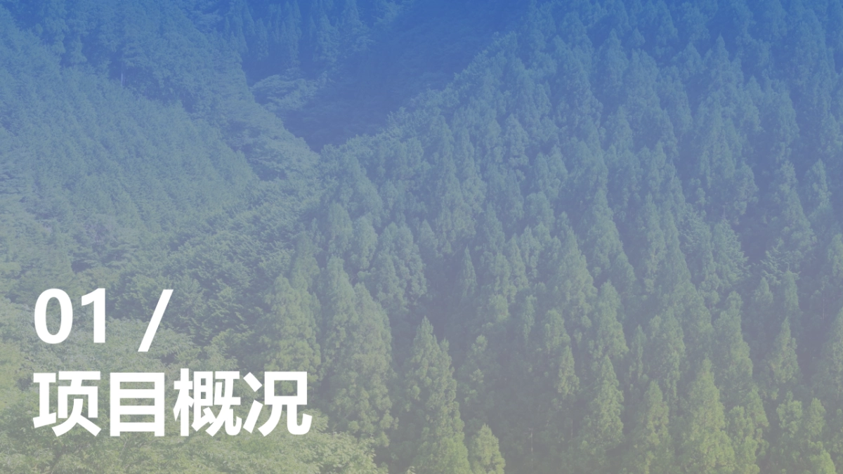 天星源露营地场地运营规划方案_第3页