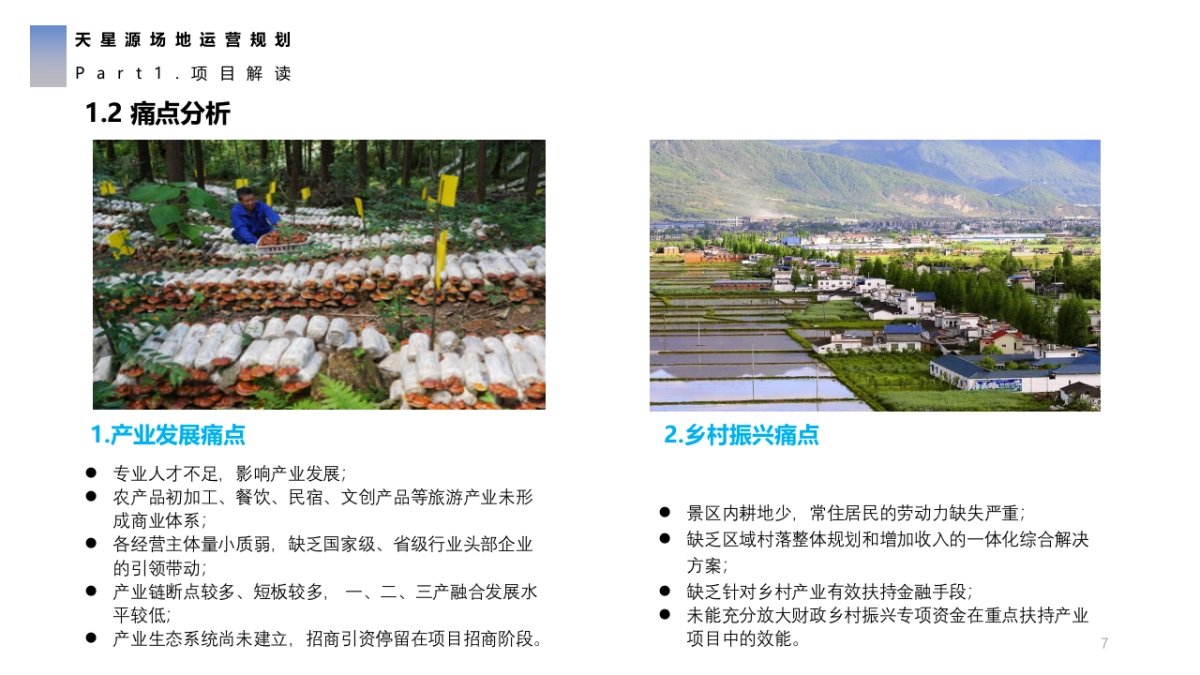 天星源露营地场地运营规划方案_第7页