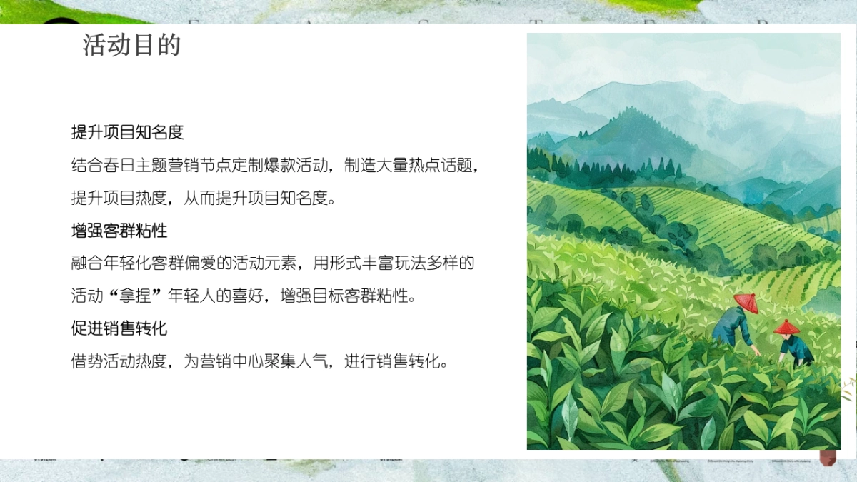 春韵茶宴邂逅春日好时光春季踏青采茶主题活动策划方案_第7页