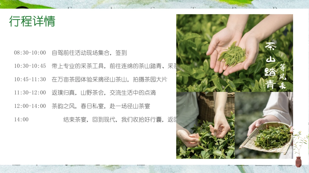 春韵茶宴邂逅春日好时光春季踏青采茶主题活动策划方案_第8页