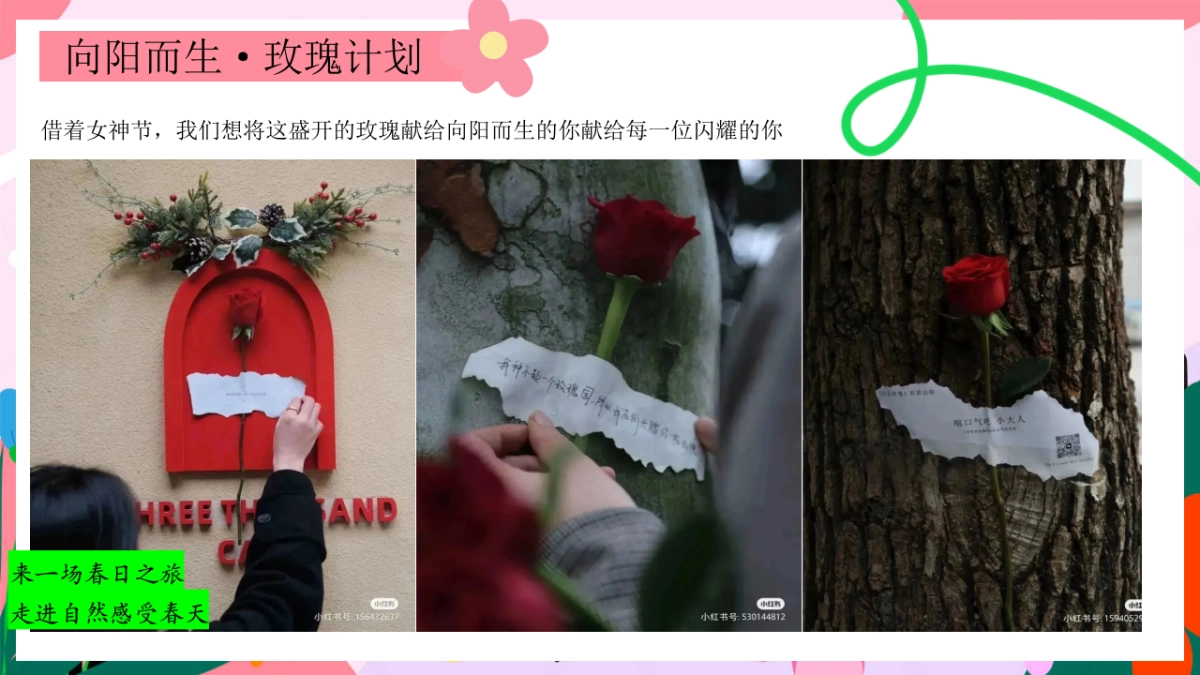 春日三八妇女节「女神花花计划主题」活动策划方案_第9页