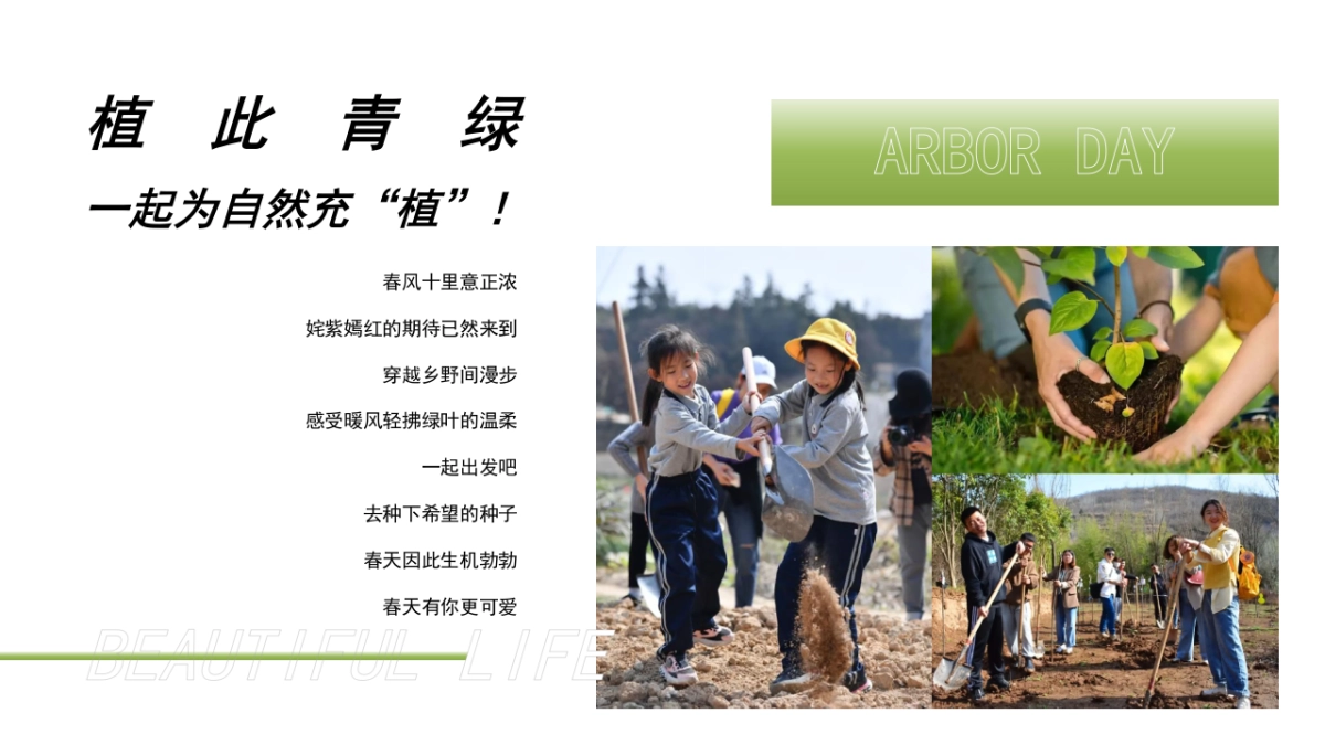 春季植树节「植此春光 无限好主题」活动策划方案_第3页
