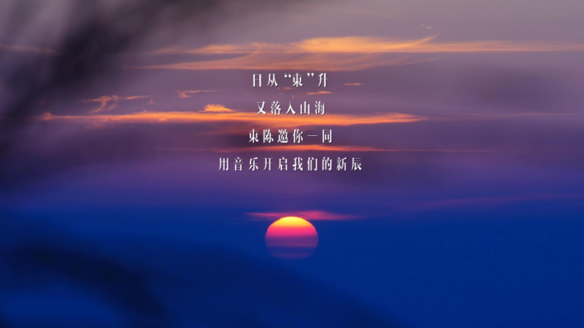 青年沙滩音乐节活动方案_第3页