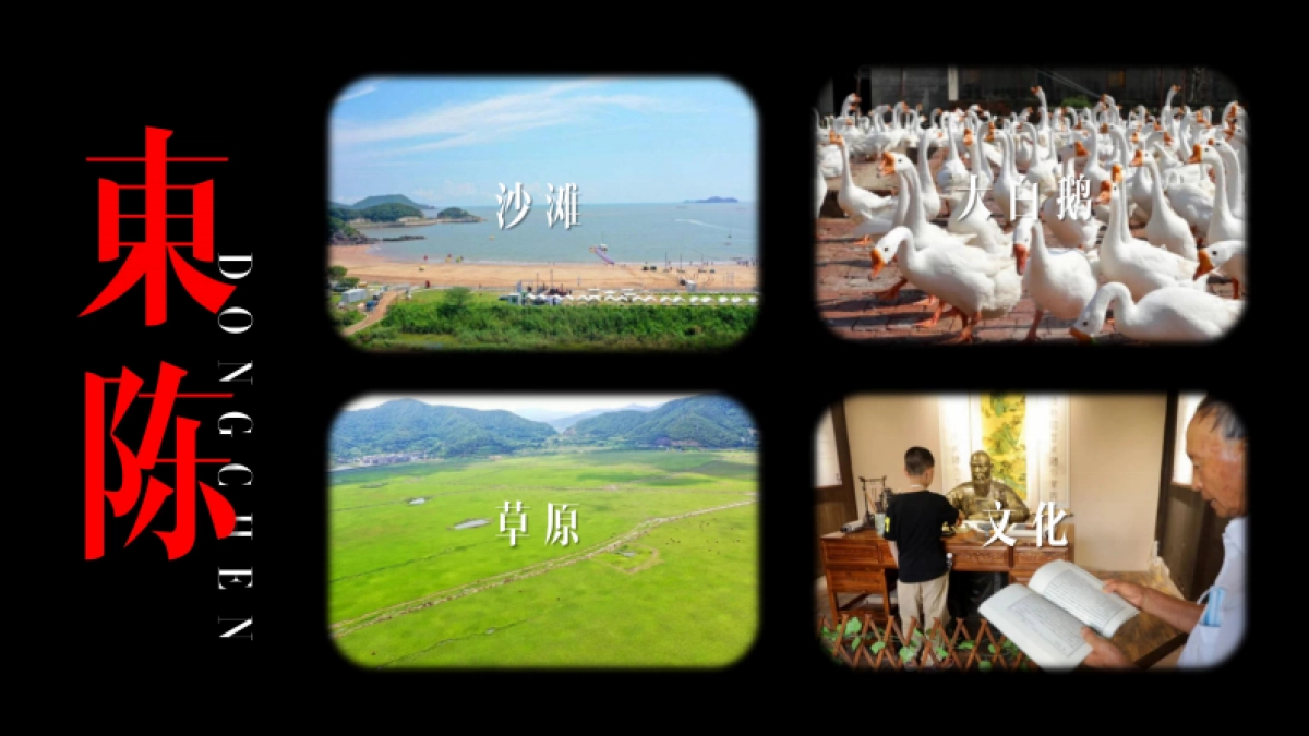 青年沙滩音乐节活动方案_第7页