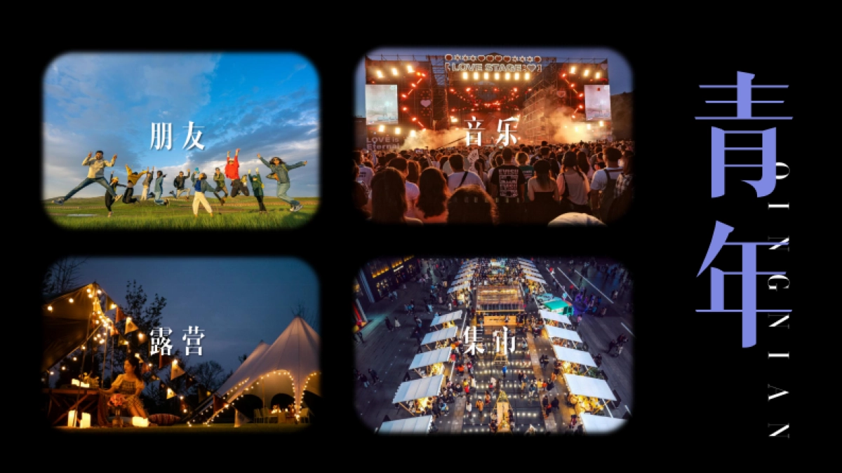 青年沙滩音乐节活动方案_第8页