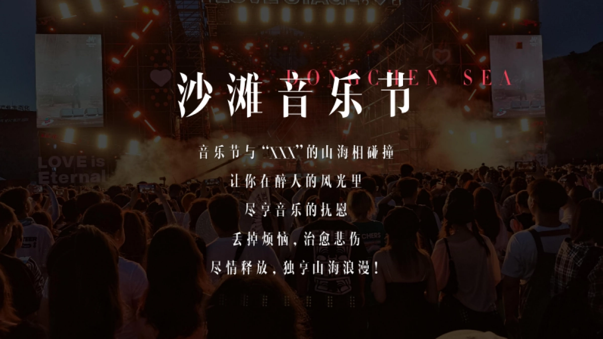 青年沙滩音乐节活动方案_第9页