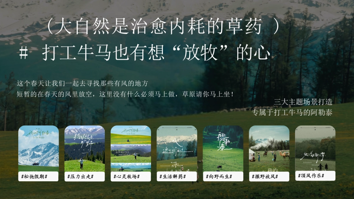 2025文旅景区五一春季露营市集音乐会「打工人躺平生活节主题」活动策划方案_第3页