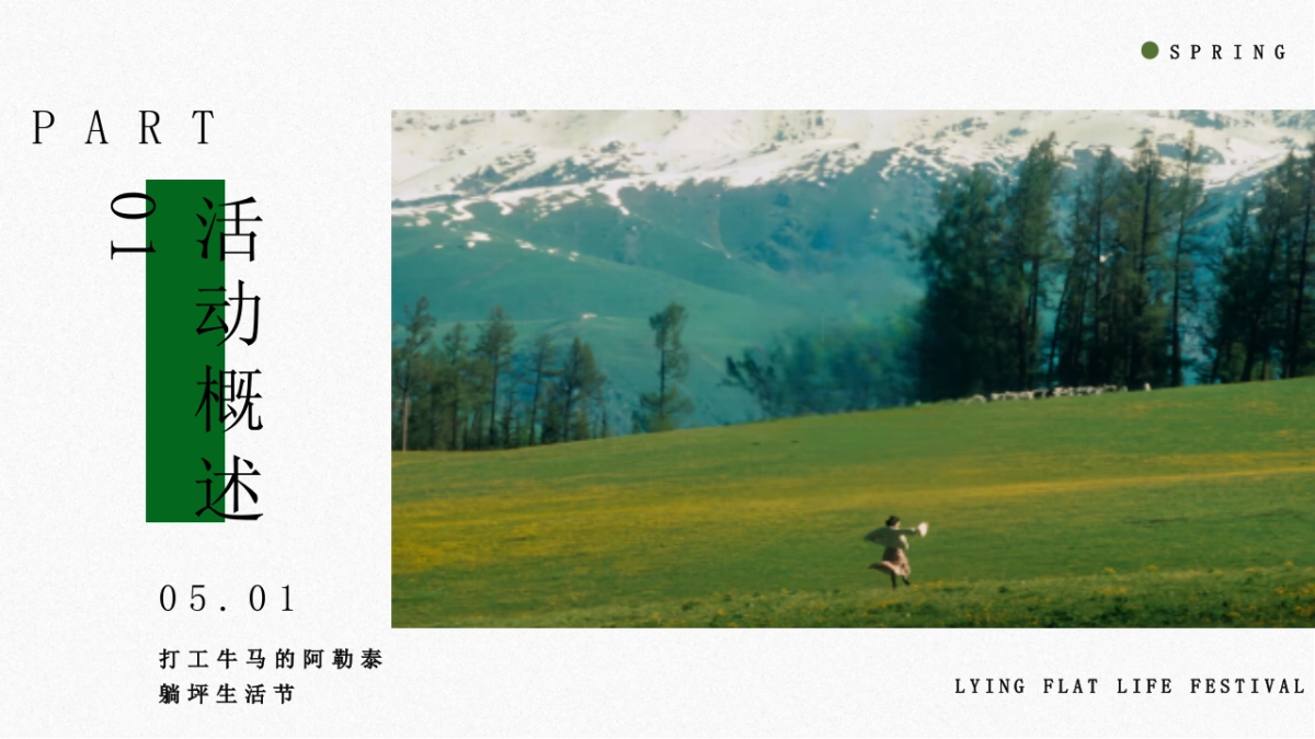 2025文旅景区五一春季露营市集音乐会「打工人躺平生活节主题」活动策划方案_第5页