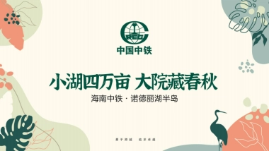 文旅地产丨海南丽湖半岛推介ppt