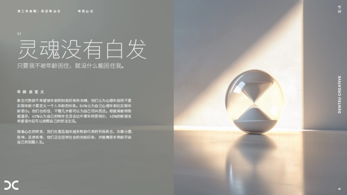 2025银发族趋势观察 第二青春期:叛逆再出发_第5页