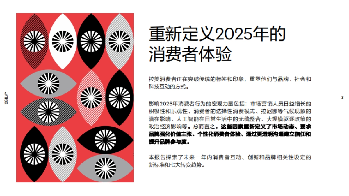 奥美拉美：2025消费者趋势_第3页