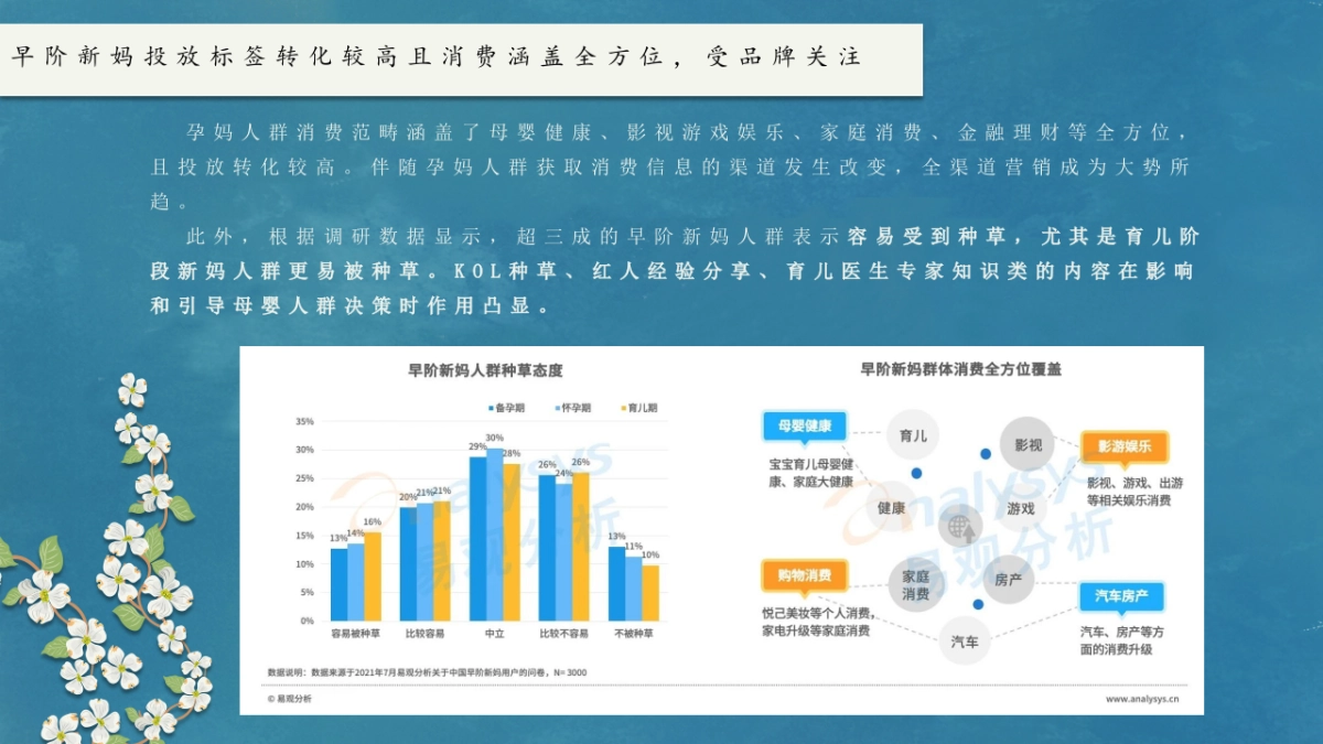 自然洗脸巾品牌营销策划方案_第10页