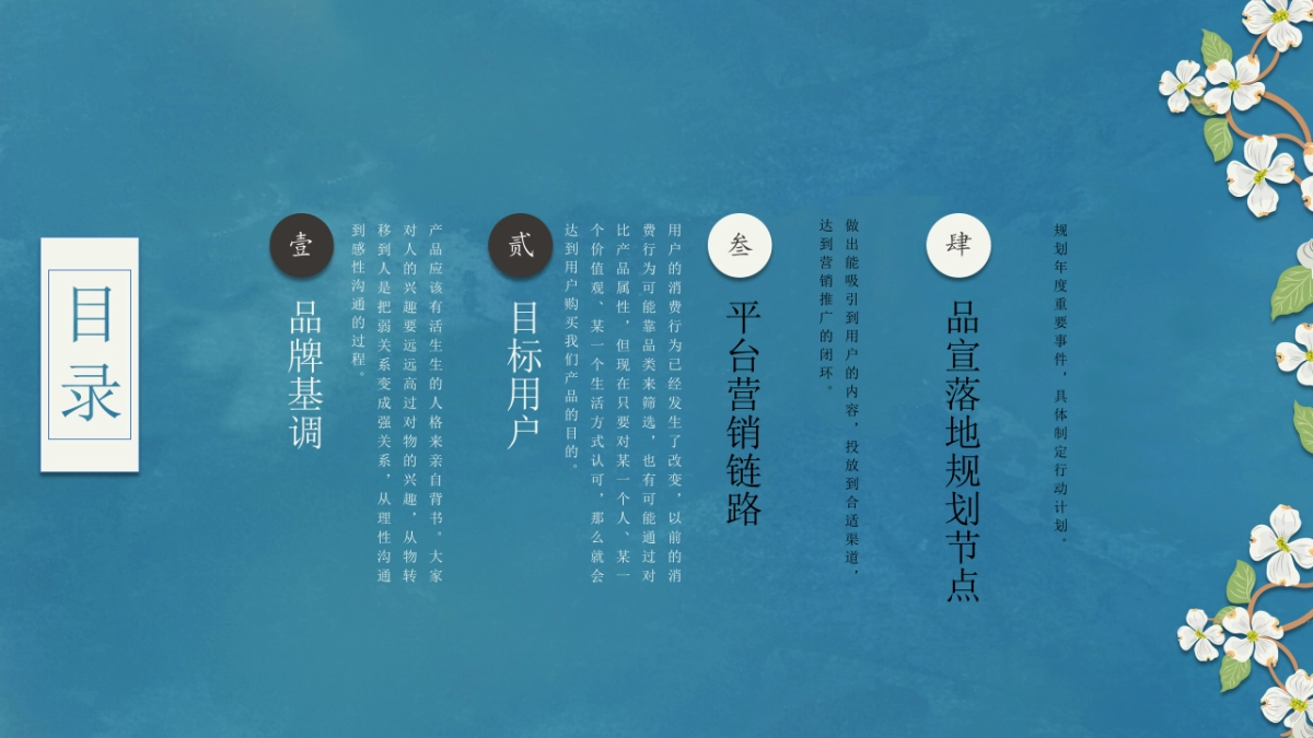 自然洗脸巾品牌营销策划方案_第2页