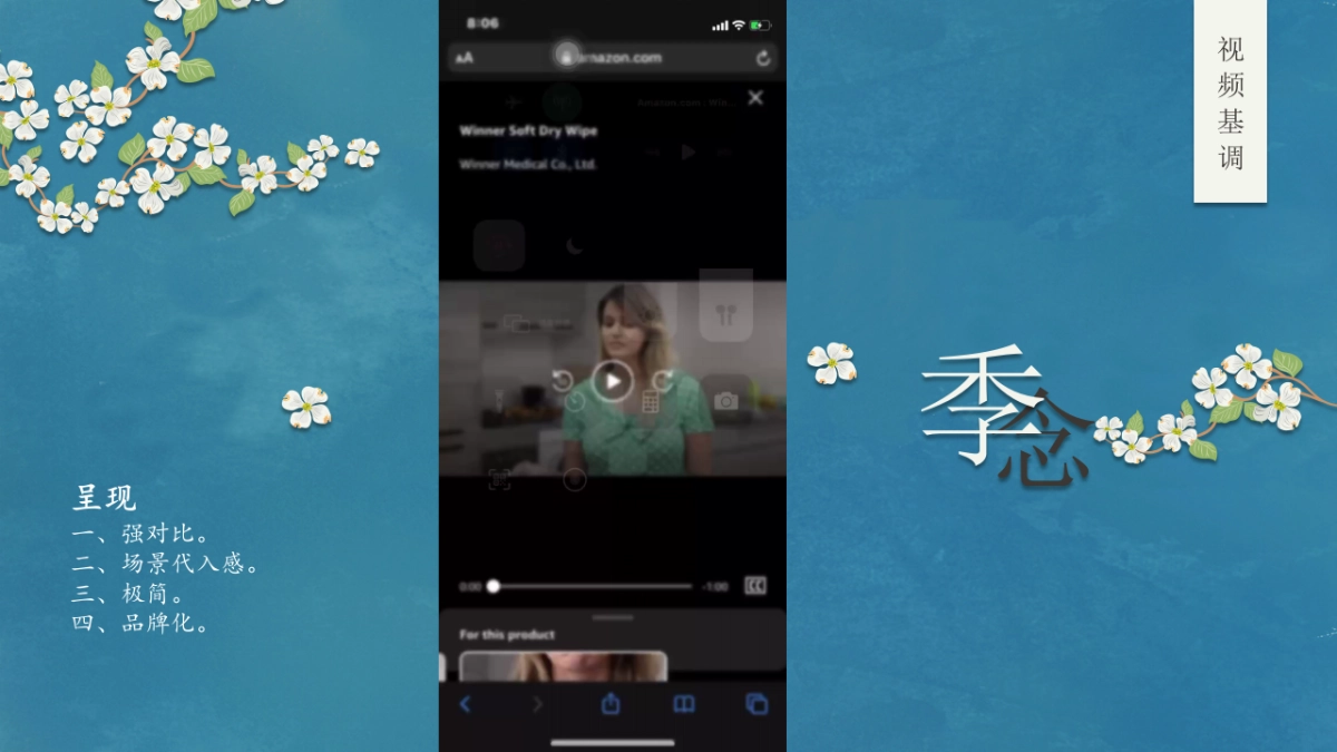 自然洗脸巾品牌营销策划方案_第6页