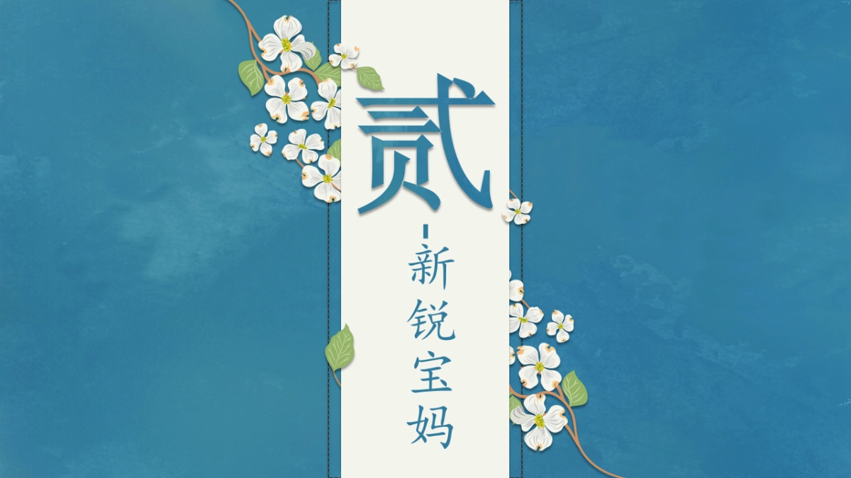 自然洗脸巾品牌营销策划方案_第7页