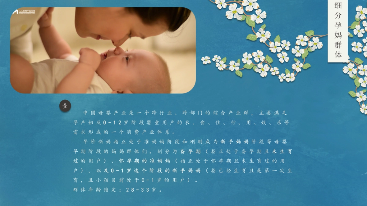 自然洗脸巾品牌营销策划方案_第8页